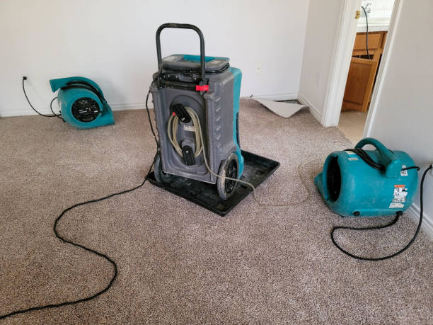 Best Mold removal after water damage  in Troutdale, OR