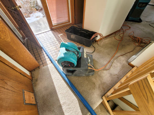 Trusted Troutdale, OR Water damage restoration Experts